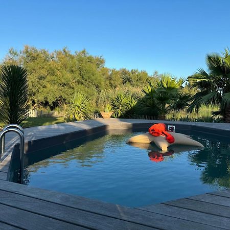 Cabane Le Flamant Avec Jardin, Piscine Et Parking Saintes-Maries-de-La-Mer Exterior foto