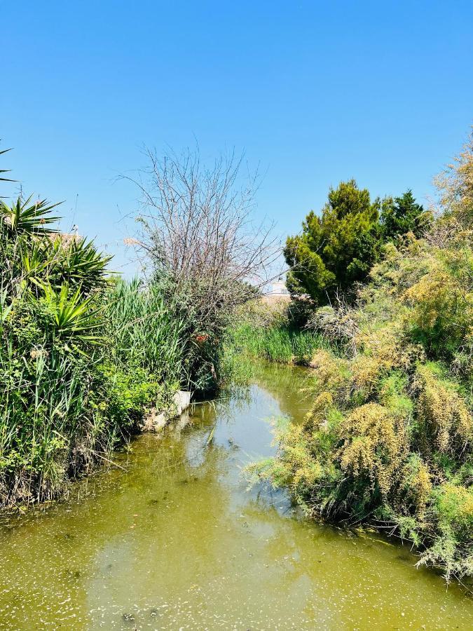 Cabane Le Flamant Avec Jardin, Piscine Et Parking Saintes-Maries-de-La-Mer Exterior foto