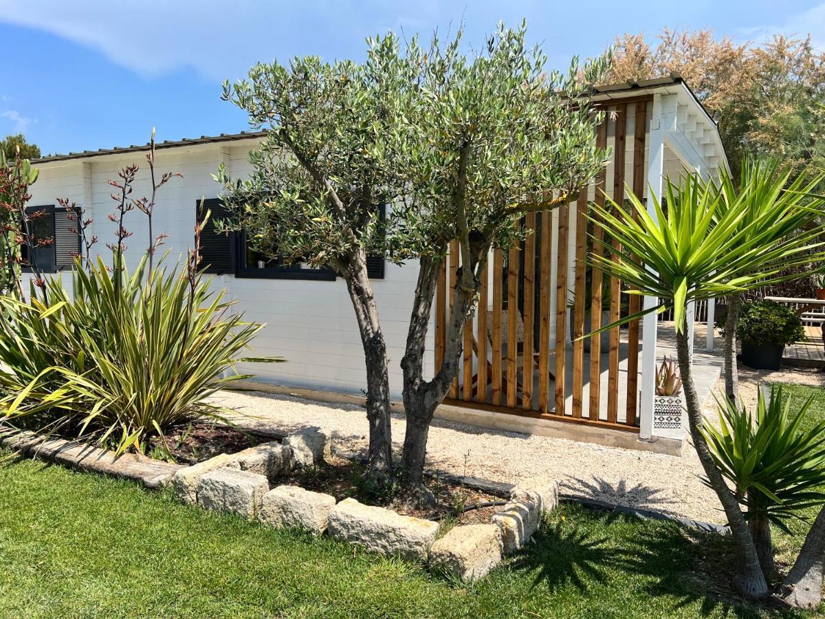 Cabane Le Flamant Avec Jardin, Piscine Et Parking Saintes-Maries-de-La-Mer Exterior foto